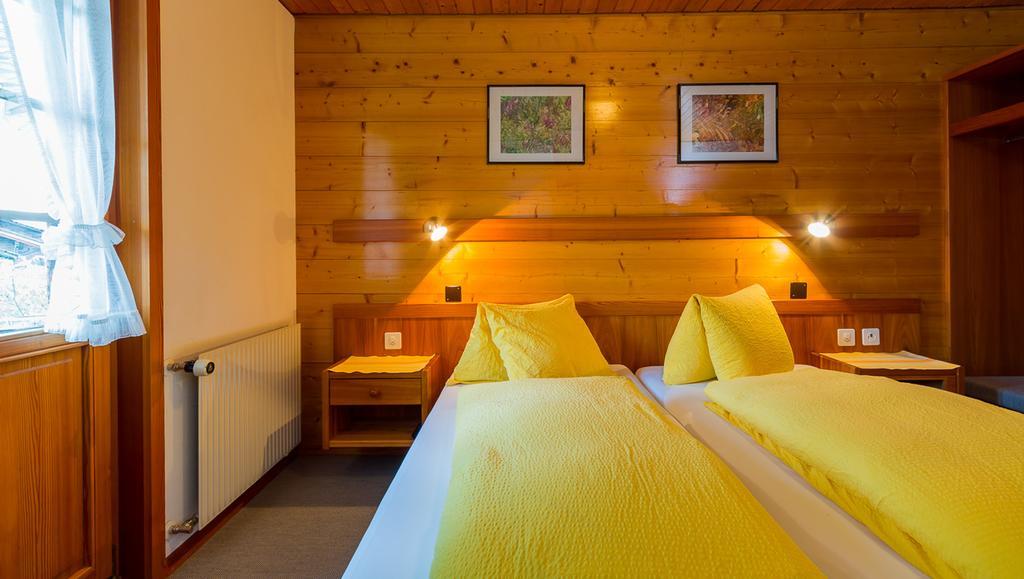 Swiss Lodge Joopi Reckingen Pokoj fotografie